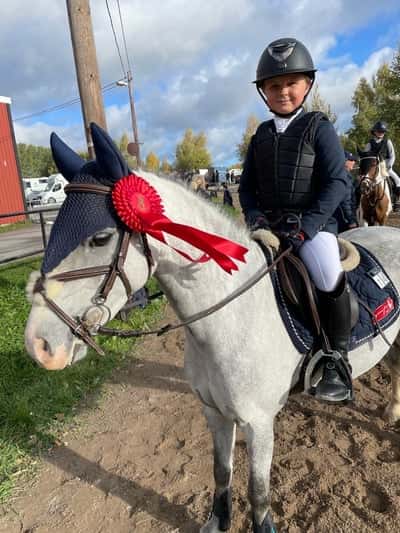 Post 270 of Show jumping with title Prinsen 