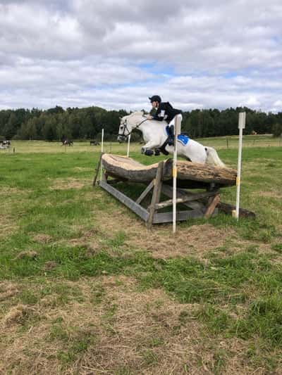 Inlägg 20 av Allround med titeln ❤️❤️