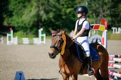 Post 191 of Show jumping with title NM 2022