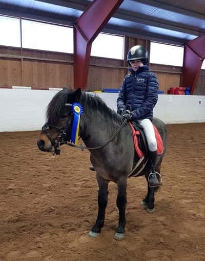 Post 278 of Show jumping with title Klubbtävling 