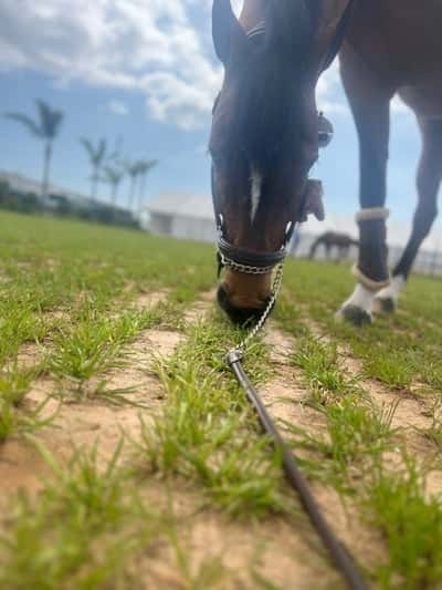 Inlägg 99 av Allround