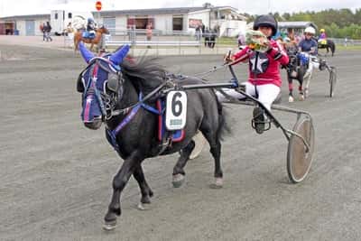 Inlägg 50 av Ponnytrav med titeln DPK’s Ponnytravgala 