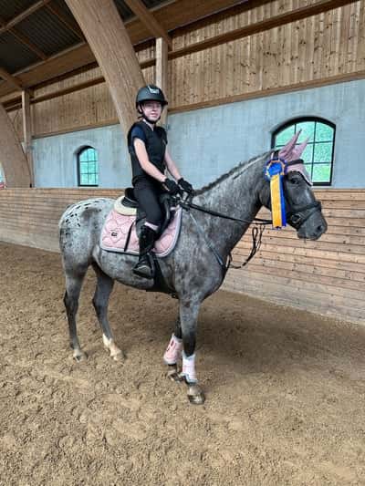 Post 170 of Show jumping