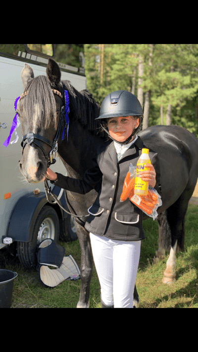 Post 373 of Show jumping with title Vi fick våran första placering!❤️