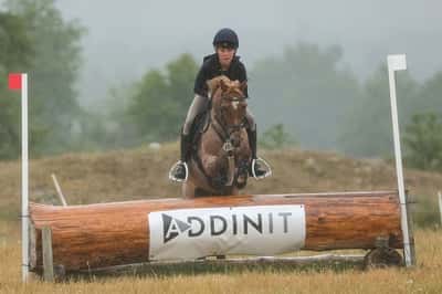 Inlägg 53 av Fälttävlan