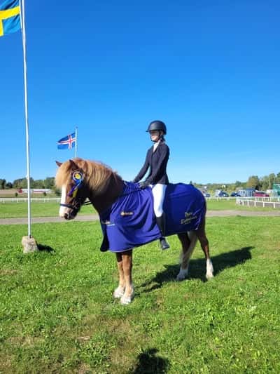 Inlägg 16 av Island med titeln Klubbmästare🥇