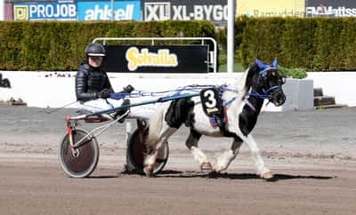 Inlägg 101 av Ponnytrav med titeln Ponnytrav 