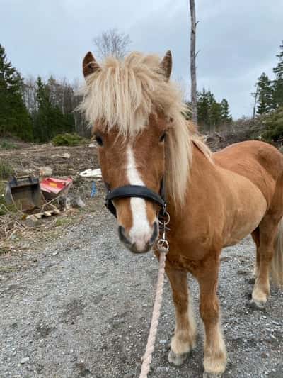 Inlägg 50 av Allround