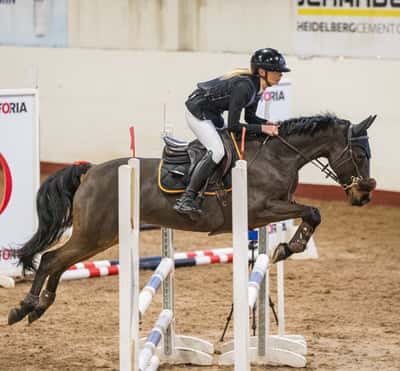 Inlägg 2 av Allround