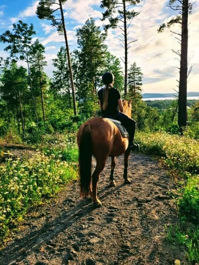 Inlägg 127 av Allround