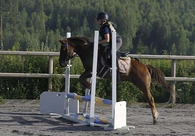 Inlägg 7 av Korsningsponny med titeln Hoppträning 