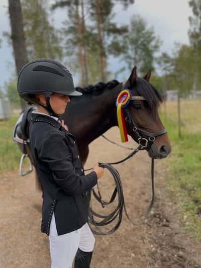 Inlägg 2 av Dressyr