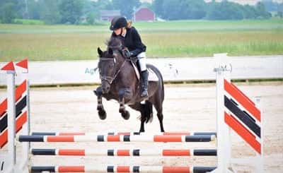 Springfield Princess