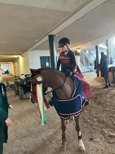 Post 125 of Show jumping