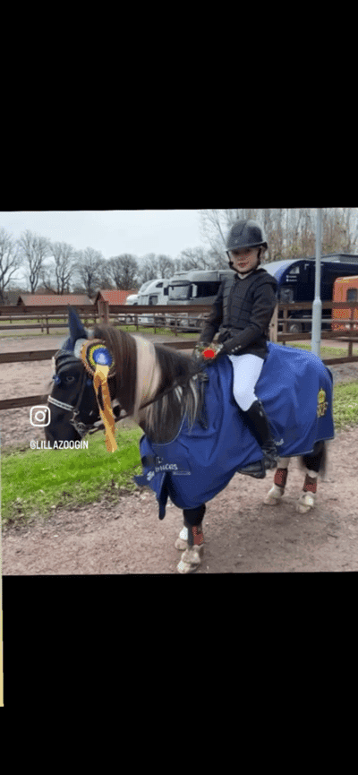 Post 129 of Show jumping with title Året 2023🤪🤪