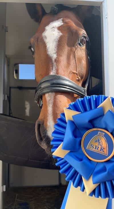 Inlägg 9 av Oldenburger med titeln 🥇🥳❤️