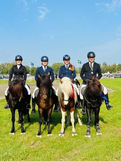 Inlägg 6 av Island med titeln GK-SM 