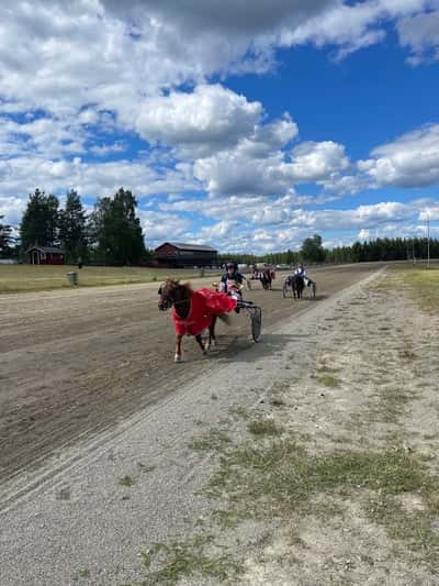Inlägg 76 av Ponnytrav med titeln Min första 🥇