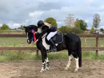 Post 467 of Show jumping