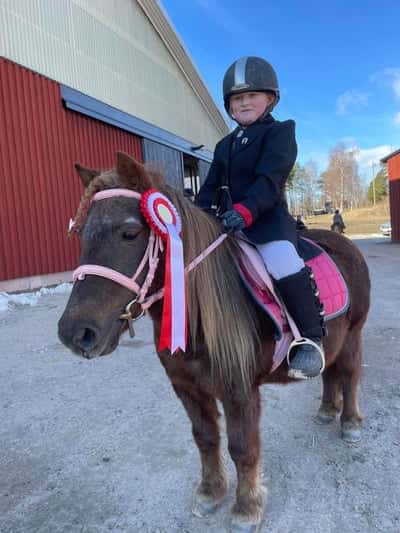 Inlägg 33 av Ponnytrav med titeln Hopptävling