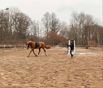 Inlägg 21 av Allround