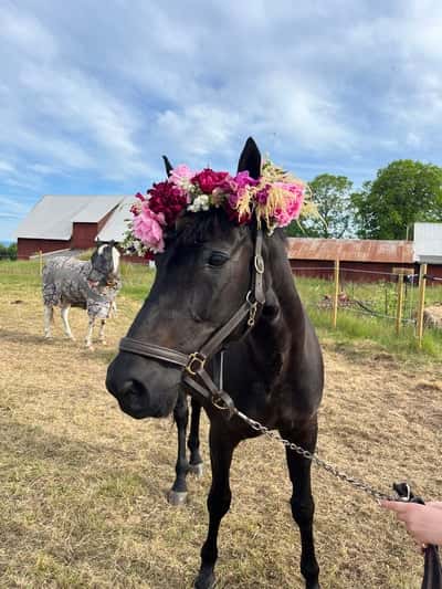 Inlägg 10 av Allround