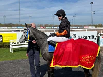 Inlägg 19 av Ponnygalopp