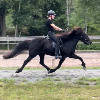 Sunna från Fröstebo