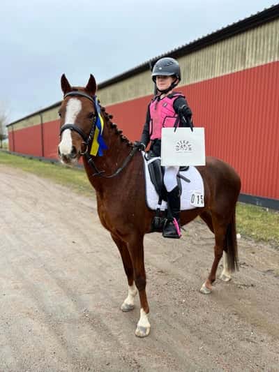 Post 134 of Show jumping with title ❤️Dressyr ❤️