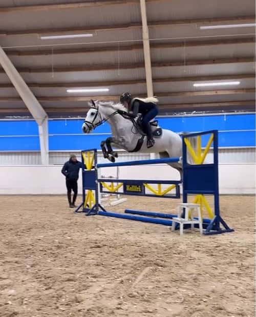 Bild av Tävlingssto med kapacitet för 140 – Myntas barnbarn.