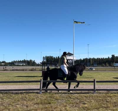 Inlägg 9 av Island med titeln Rolig tävlingsdag idag med Sindri!