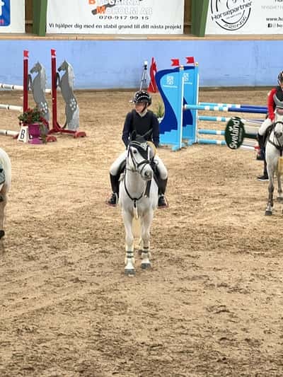 Post 66 of Show jumping with title Grevagården dag 1