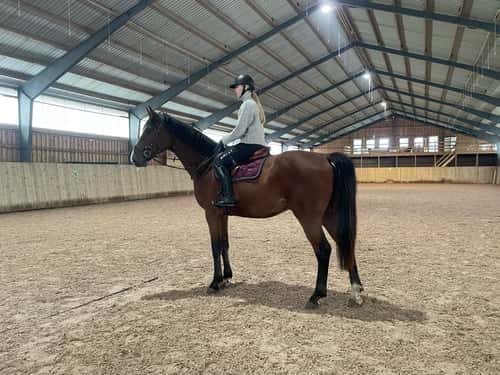 Bild av Trevlig 4 åring 