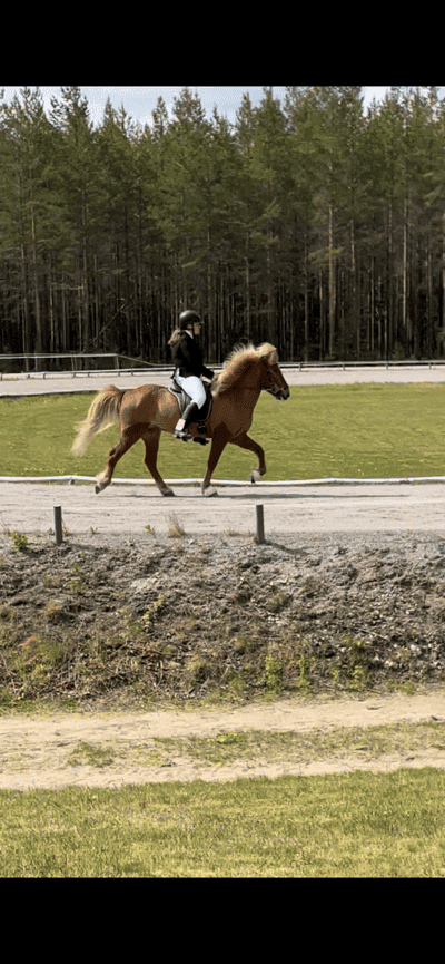 Inlägg 38 av Island med titeln 🔛🔝🔥💗