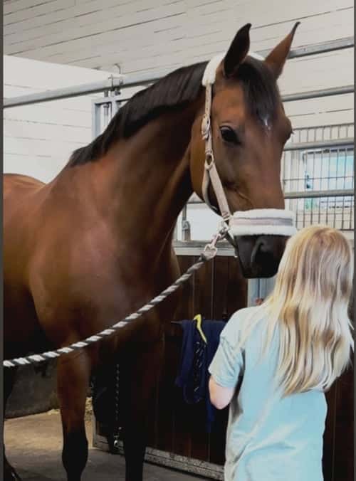 Bild av Swb sto f 15