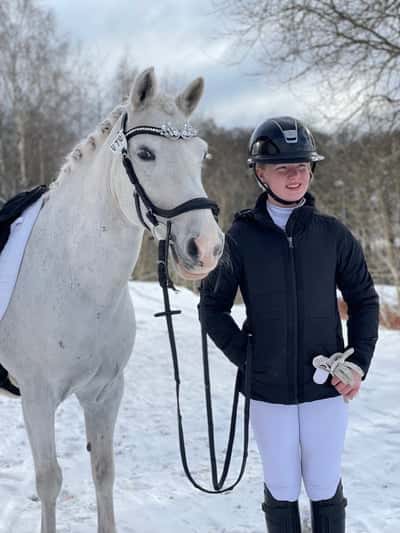 Post 6 of Dutch Riding Horse with title Tävling