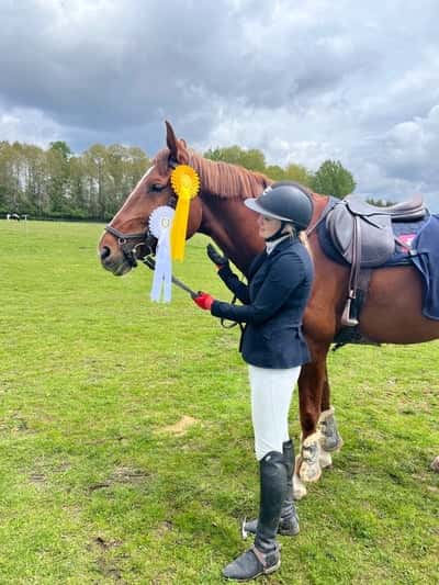 Post 350 of Show jumping with title Tävling