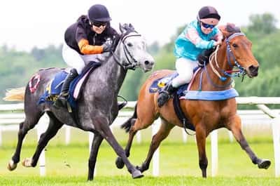 Inlägg 1 av Ponnygalopp