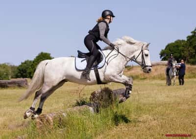 Inlägg 9 av Fälttävlan med titeln Suger Cup 