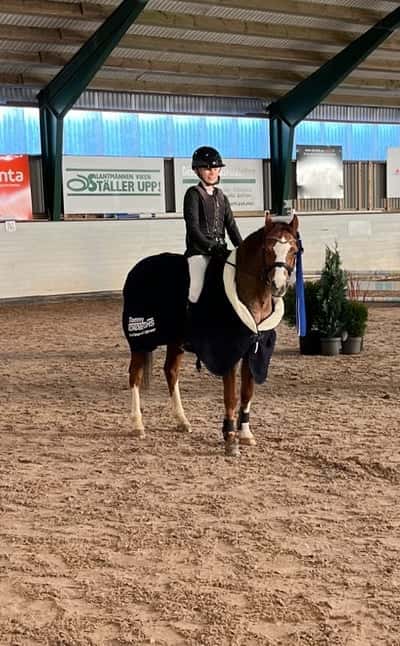 Post 459 of Show jumping with title November cupen 