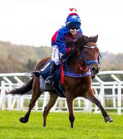 Inlägg 87 av Galopp med titeln Fina Duenna🏇🏼🐴🥰