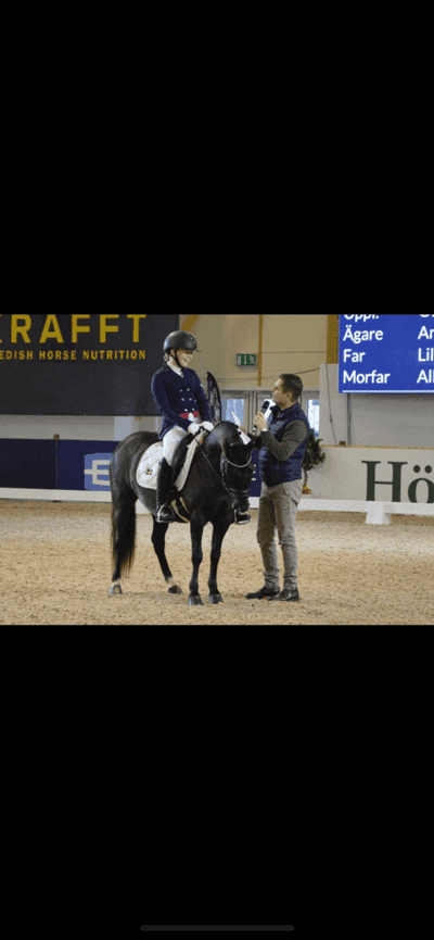 Inlägg 7 av Dressyr med titeln Bränningens Stina 