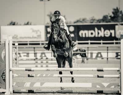 Inlägg 4 av Allround