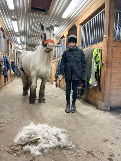 Inlägg 2 av Tinker med titeln Oj vad mycket hår 😂😜