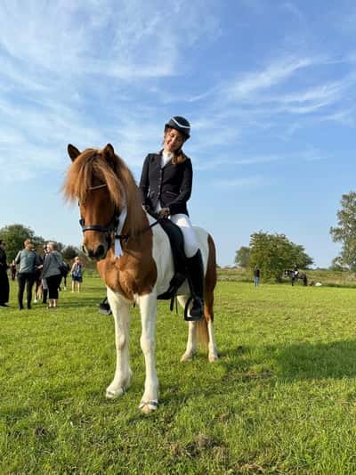 Post 441 of Show jumping