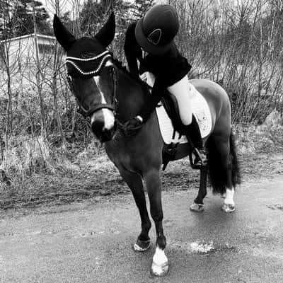 Gylfinir Rudolf Nurejev