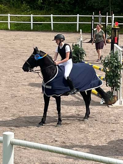 Post 77 of Show jumping