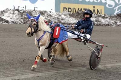 Inlägg 89 av Ponnytrav med titeln Ponnytrav 