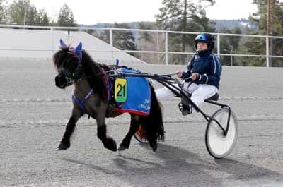 Inlägg 30 av Ponnytrav med titeln Snabbjobb