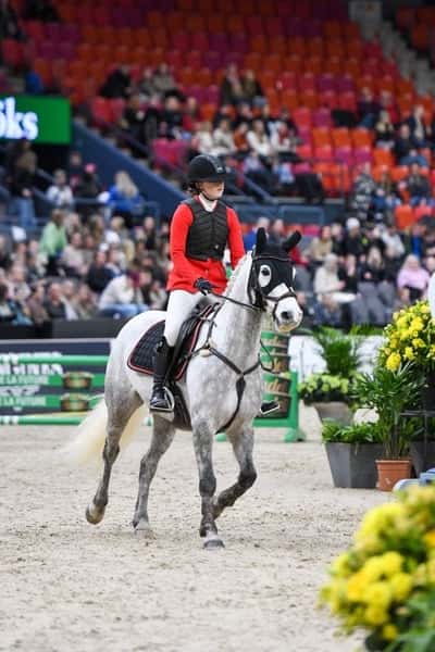 Post 25 of Show jumping with title 4 plats i Sverige ponny finalen 